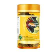 스프링리프 뉴질랜드 초록입홍합 2000mg 200정 초록홍합 그린머슬, 1병