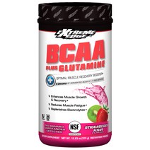 익스트림엣지 BCAA 플러스 글루타민 스트로베리 키위 글루텐 프리 비건, 1개, 375g