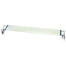 리글라스 LED조명 등기구 60cm LE-600, 1개
