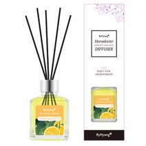 바이향 리프레싱 홈닥터 디퓨져 100ml, 레몬 유칼립투스, 1개
