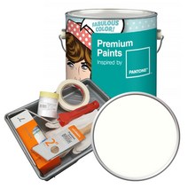 노루페인트 팬톤 내부용 실내벽면 저광 페인트 4L 세트, 11-0103 Cream White
