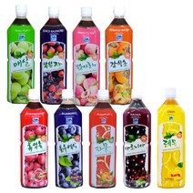 한국데코로 하늘샘 복분자, 1020ml, 1개