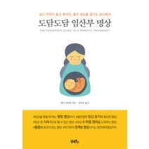 도담도담 임산부 명상:임신 전부터 출산 후까지 좋은 엄마를 꿈꾸는 당신에게, 담앤북스