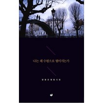 나는 왜 수평으로 떨어지는가, 푸른길, 양광모 저