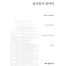 곱사등이 망아지, 지식을만드는지식, 표트르 에르쇼프 저/이수경 역