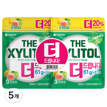 오리온 더 자일리톨 리필백, 122g, 5개