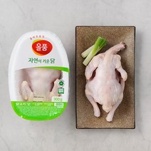무항생제 인증 갓잡은 닭 볶음탕용 (냉장), 900g, 2개
