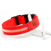 멍멍군나비양 강아지 USB 충전식 LED 야광목줄, 레드