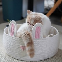 JHCompany 토끼 쫑긋 패브릭 고양이 스크래쳐 홈, 화이트, 1개
