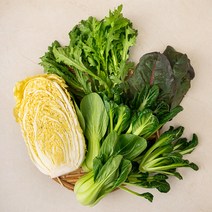 양주농부 모듬채소 20종 클로렐라 쌈채소 유러피안 샐러드 야채 600g-1kg, 1박스, 클로렐라쌈채소 1kg
