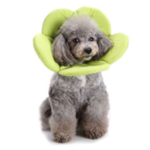 까꿍펫 반려동물 플라워 목보호대 S 그린, 1개