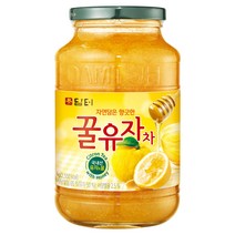담터 꿀유자차, 1kg, 1개, 1개입 상품 사진