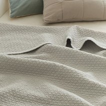 쉬즈홈 파운드 피그먼트 이불 겸 패드, 그레이