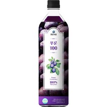 맑은내일 푸룬 100 과채주스, 1000ml, 1개