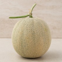 곰곰 머스크 멜론, 1.6kg, 1개