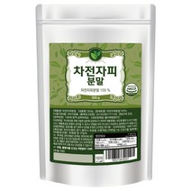 초담식품 차전자피 분말, 300g, 1개