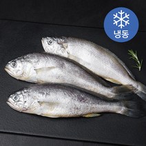 영광 법성포 줄줄이굴비 (냉동), 120g, 3봉