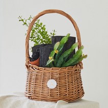 아스파시아 내츄럴 라탄 숯바구니 선인장, 1개