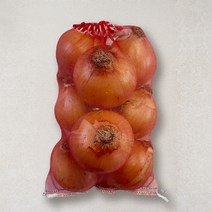 국내산 양파, 1.5kg, 1개 솔직 후기 및 장단점 분석 - 구매 가이드