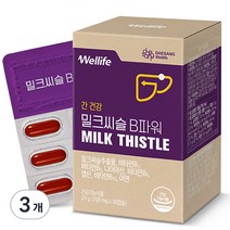 대상웰라이프 밀크씨슬 B파워 21g, 30정, 3개
