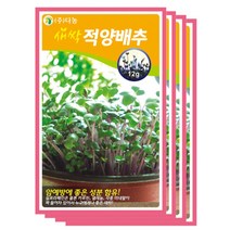 다농 새싹적양배추씨앗, 12g x 4개