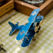 더자카 철제비행기소품, 블루