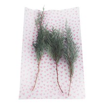 티나피크닉 하트모음 비접착 포장 봉투 핑크 12 x 20 cm, 1개입, 100개
