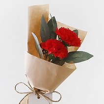 블루밍앤미 비누꽃 카네이션 네츄럴 꽃다발, 레드