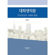 대학영작문:영어문장의 이해와 활용, 형설출판사