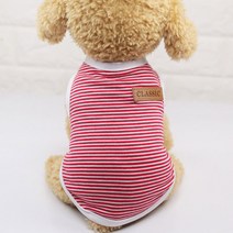 Dr.Mini 고양이&강아지 모던 코튼 스트라이프 티셔츠 2p, 레드