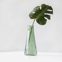 블루밍앤미 몬스테라 clean 유리병 대, 그린