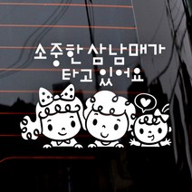 제제데코 자동차 스티커 소중한삼남매, 화이트, 1개