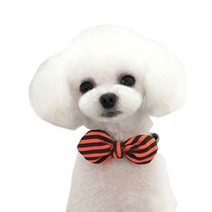 까꿍펫 반려동물 리본 목줄, 핑크