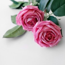 블루밍앤미 조화 베로나 장미, 진핑크