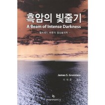 흑암의 빛줄기:윌프레드 비온의 정신분석학, 한국심리치료연구소, James S.Grotstein 저/이재훈 역