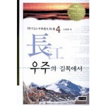 장강 우주의 길목에서, 신서원