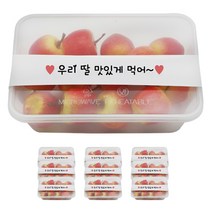 도나앤데코 PP내열 도시락용기 한칸 10p + 띠지스티커 화이트 우리딸 맛있게먹어 10p, 1세트