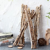 RYMD DIY 자작 나뭇가지 55~60cm 8p, 혼합 색상