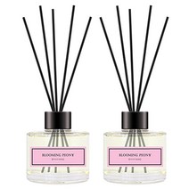바이향 홈 디퓨저 120ml x 2p, 블루밍피오니, 2개