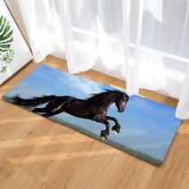 이지웜 지브라 발매트, A-1