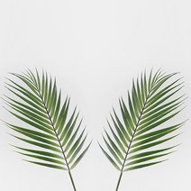 블루밍앤미 아레카야자 조화 4p