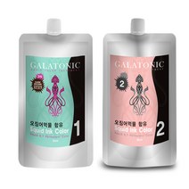 갈라토닉 스퀴드 잉크칼라 새치염색 1제 500ml + 2제 500ml, 3N 짙은갈색, 1세트