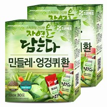 굿허브 조은약초 자연을 담는다 스틱형 민들레 엉겅퀴환, 90g, 2개입