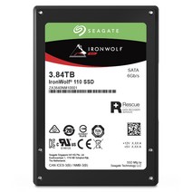 씨게이트 아이언울프 110 SSD NAS, ZA3840NM10001, 3.84TB