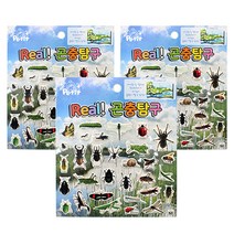 쁘띠팬시 리얼 곤충탐구 스티커 DA5463, 혼합 색상, 3개