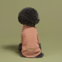 오드스튜디오 베이직 스트라이프 반려동물 터틀넥, 브라운