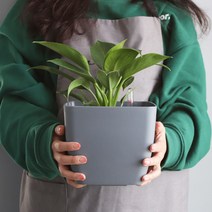 모리앤 물주는 시기를 알수있는 플랜트 눈금화분 사각, 그레이