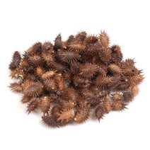 신선약초 도꼬마리 건강식품, 300g, 1개