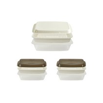 씨밀렉스 명절상차림 쟁반뚜껑형 채반 전보관 용기세트 3.5L + 1.3L 2p, 1세트