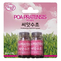로라펫 미니헤어 씨앗수초 2p, 1개